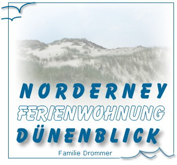 Drommer Web Logo2